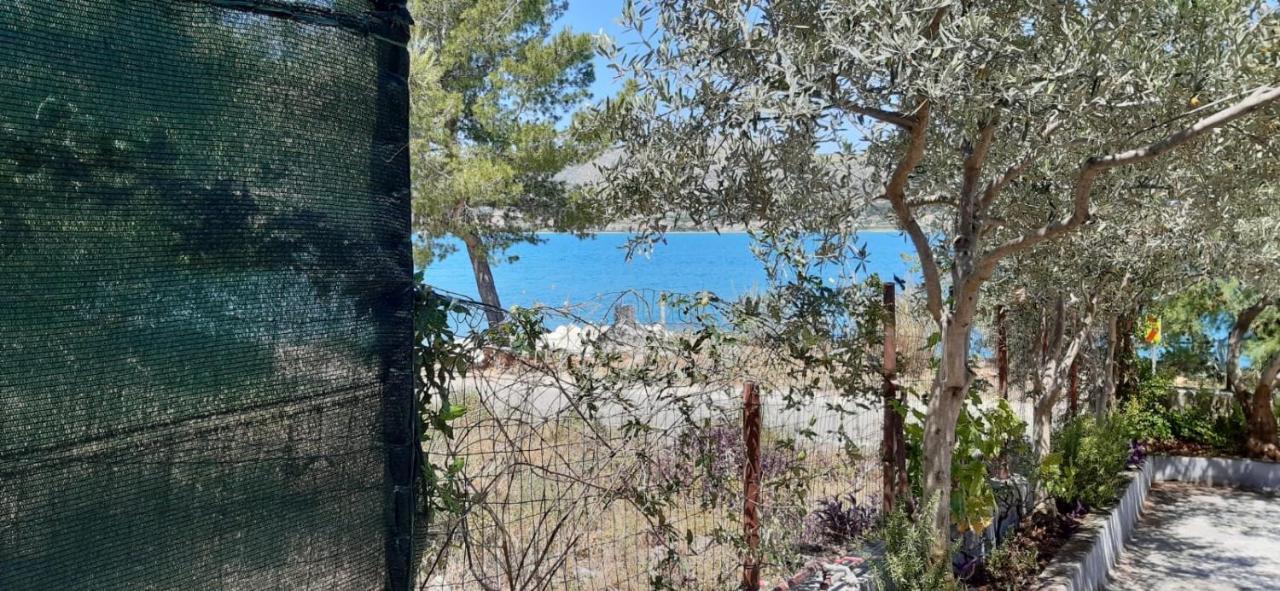 Apartmani Ante Trogir Dış mekan fotoğraf